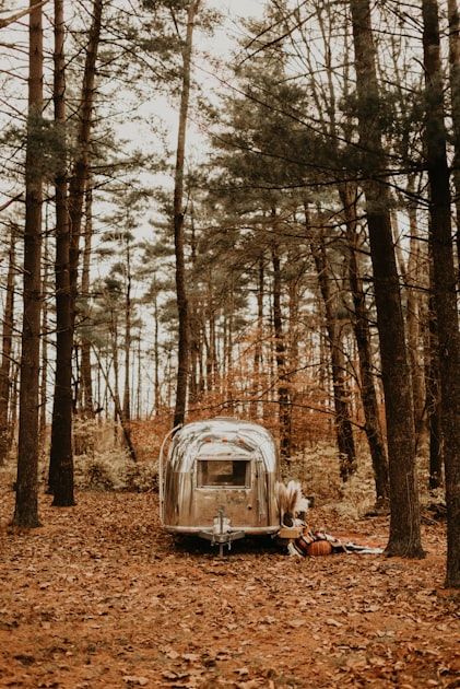 Budget-Friendly Trailers for Rent